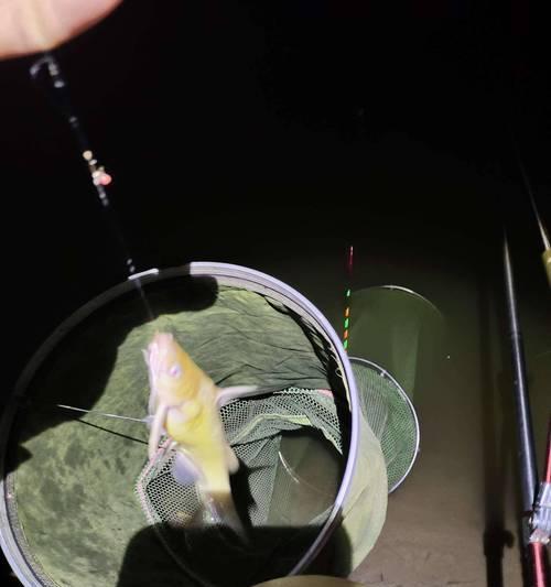 水库夜钓大青鱼技巧与方法（探索夜晚钓大青鱼的捕获窍门）  第1张