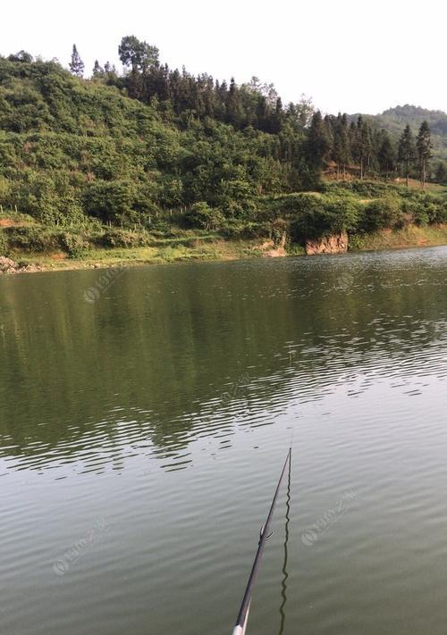 水库涨水下的野钓技巧（掌握关键）  第1张