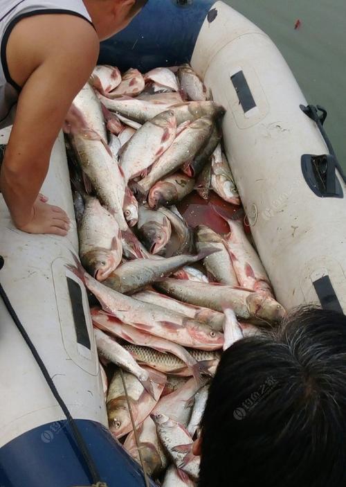 水泥底钓鱼技巧（掌握技巧提升钓鱼效果）  第1张