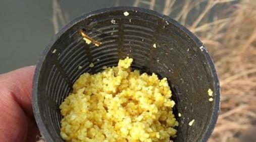 水瓶钓鱼技巧大揭秘（实用技巧助你成为高手）  第1张