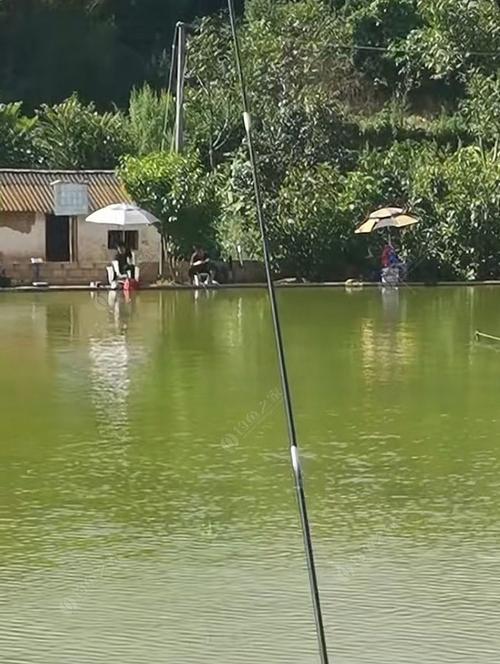 深水钓鱼技巧（3米以上水深的丰富钓鱼经验分享）  第1张