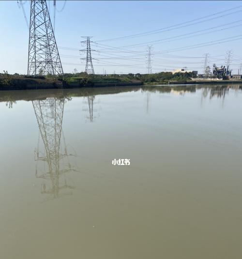 水管钓鱼技巧——轻松享受垂钓乐趣（垂钓新手必看）  第1张