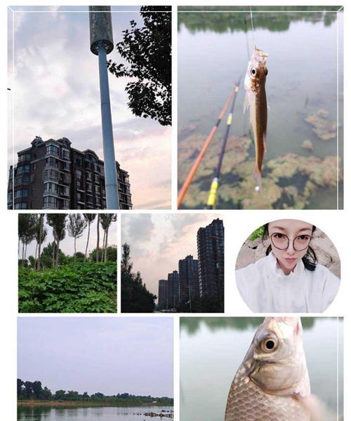 雨天钓鱼的方法和技巧（享受雨中垂钓的乐趣）  第1张