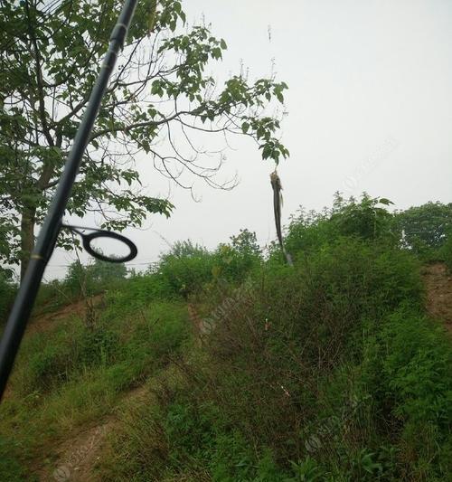 雨天钓鱼的选择技巧（下雨天怎么选钓点）  第1张