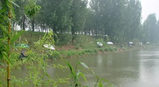 雨天钓鱼技巧揭秘（掌握技巧）  第1张