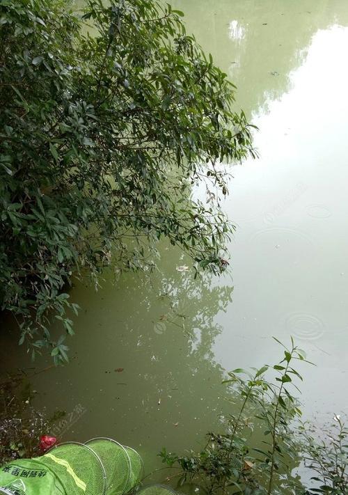 雨天野钓技巧大揭秘（钓友们必知的雨天钓鱼窍门）  第1张