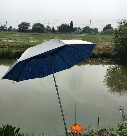 夏季32度钓鱼技巧（夏日高温下钓鱼的窍门与经验）  第1张