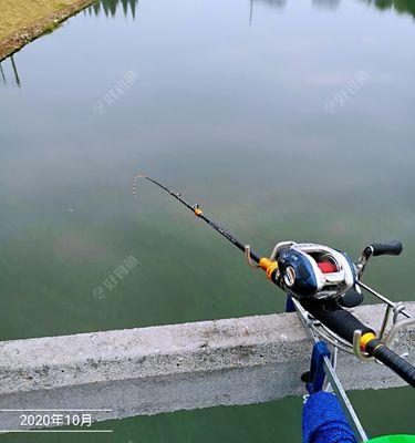 夏季傍晚钓鱼的技巧与方法（钓鱼达人分享夏季傍晚钓鱼的秘籍）  第1张