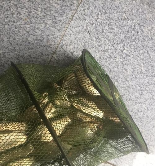 夏季暴雨后钓鱼技巧（如何利用暴雨后的水情增加钓鱼成功率）  第1张
