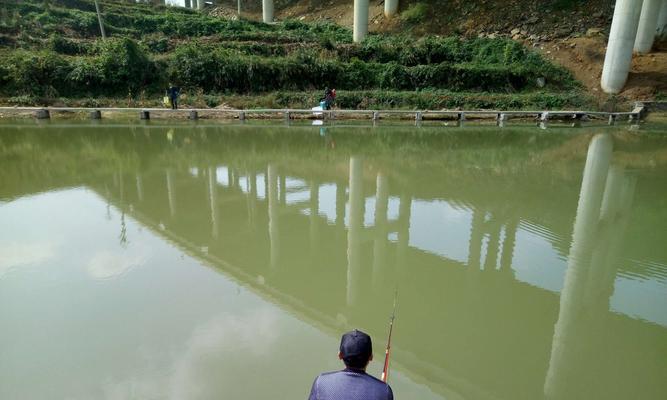 夏季池塘钓鱼方法和技巧（掌握钓鱼技巧）  第1张