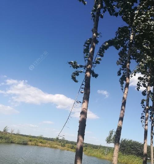 夏季大风天钓鱼技巧（战胜狂风）  第1张