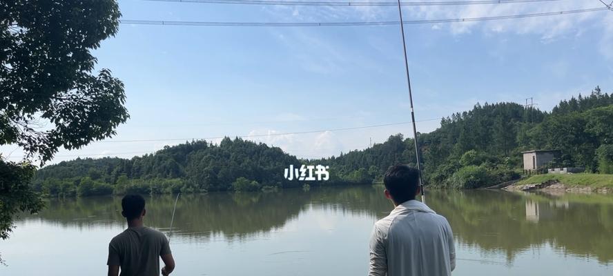 夏季钓鱼技巧教学（享受夏日乐趣的钓鱼技巧）  第1张