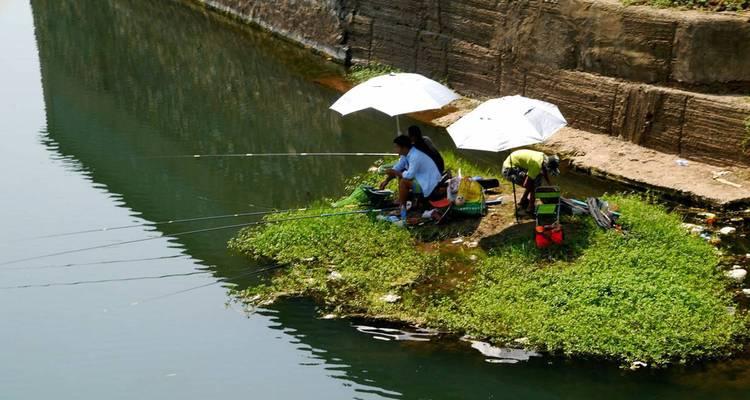 广东夏季野河钓鱼技巧与方法（享受夏日乐趣）  第1张