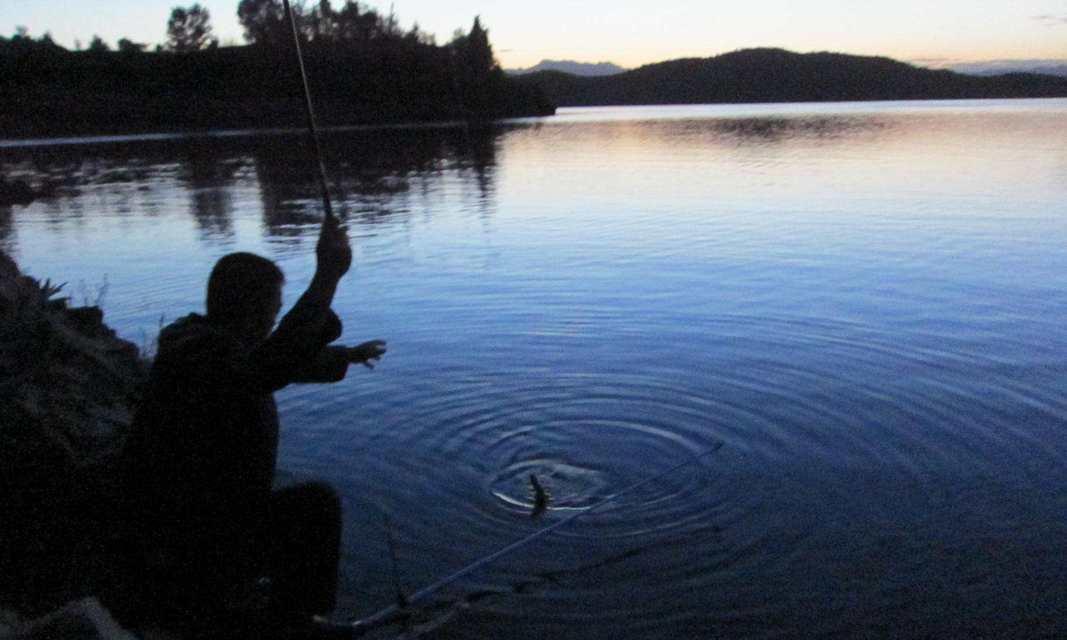 夏夜河道夜钓技巧（河道夜钓的绝佳选择）  第1张