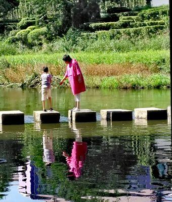 夏天荷塘钓鱼技巧（畅享休闲钓鱼乐趣）  第1张