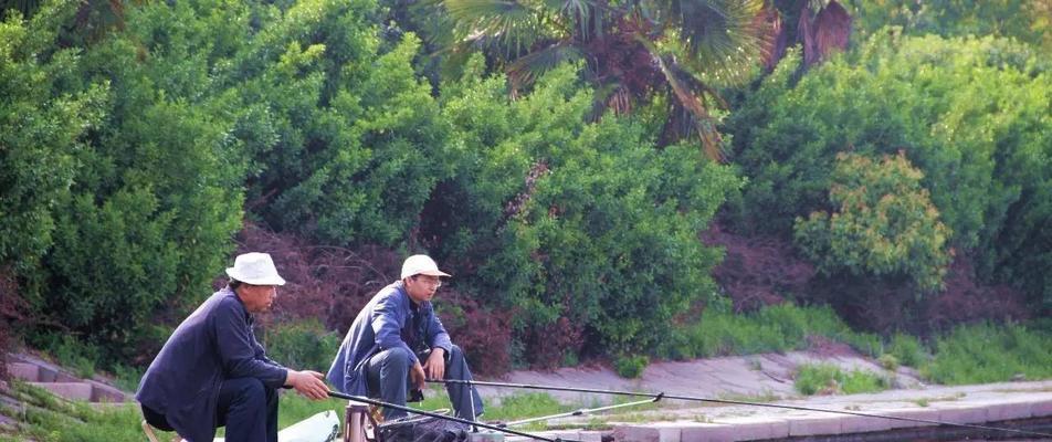 夏日河道钓鱼技巧（掌握上海河道钓鱼的窍门）  第1张