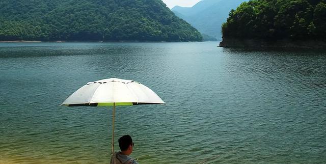 夏天上海上午野钓技巧（享受夏日阳光与钓鱼乐趣的完美时机）  第1张