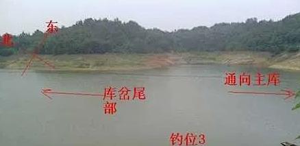 夏天水库台钓技巧（夏天水库台钓技巧大揭秘）  第1张