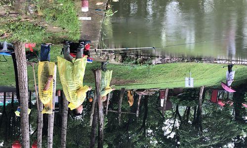夏天下雨天钓鱼技巧（掌握钓鱼技巧）  第1张