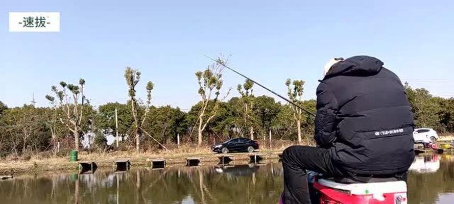 夏日野钓鲤鱼调漂技巧（挑战夏日高温）  第1张