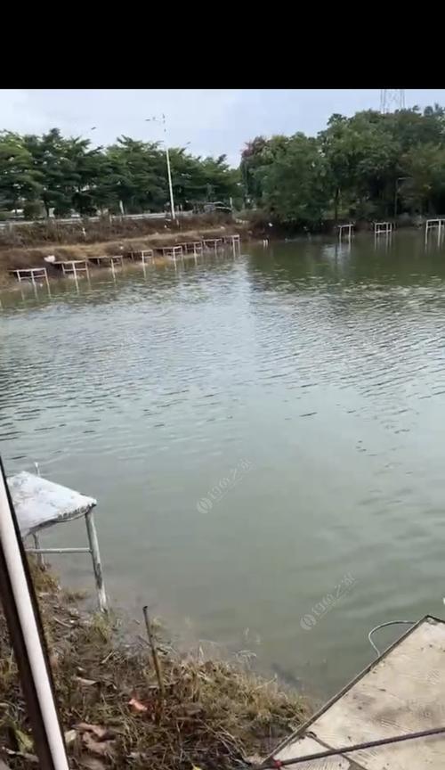 新手垂钓黑坑技巧（掌握垂钓黑坑的四个关键技巧）  第1张