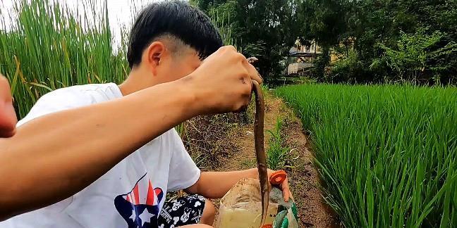 新手钓鱼打野的技巧（掌握鱼儿的习性）  第1张