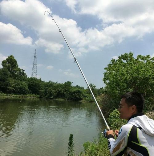 新手钓鱼看漂技巧（钓鱼技巧详解）  第1张