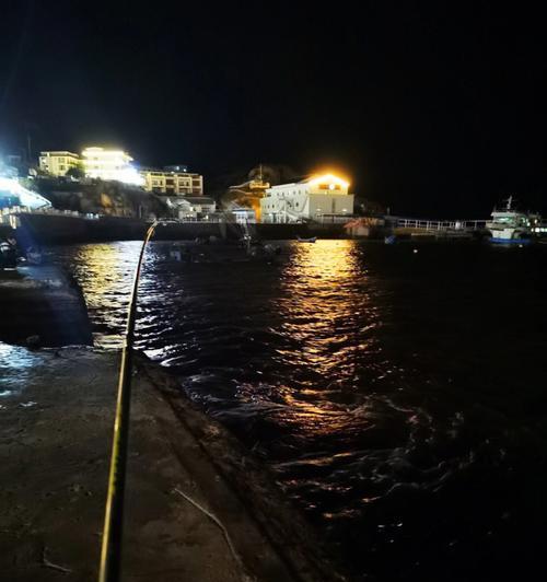 新西兰海钓夜钓技巧（探秘新西兰夜钓海钓的技巧与经验分享）  第1张