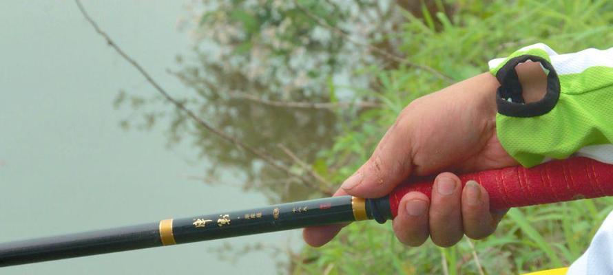 野钓技巧（提升钓鱼成功率的关键技巧）  第1张