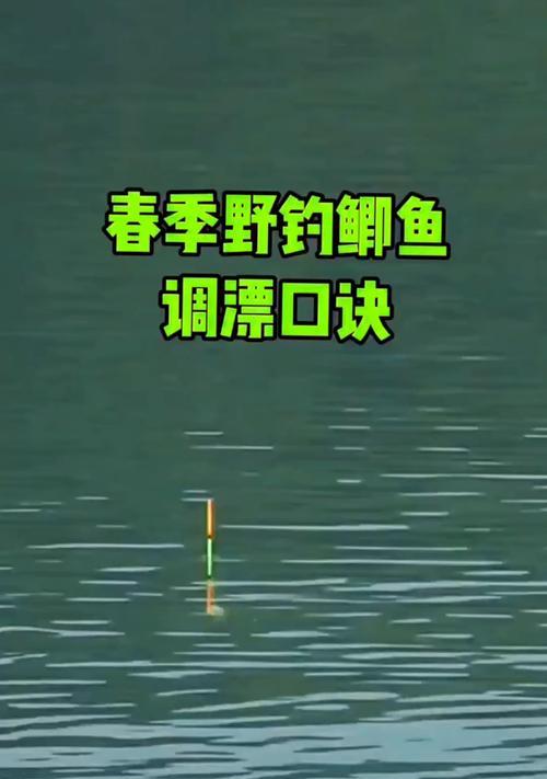 野钓鲫鱼调漂入门技巧（掌握这些技巧）  第1张