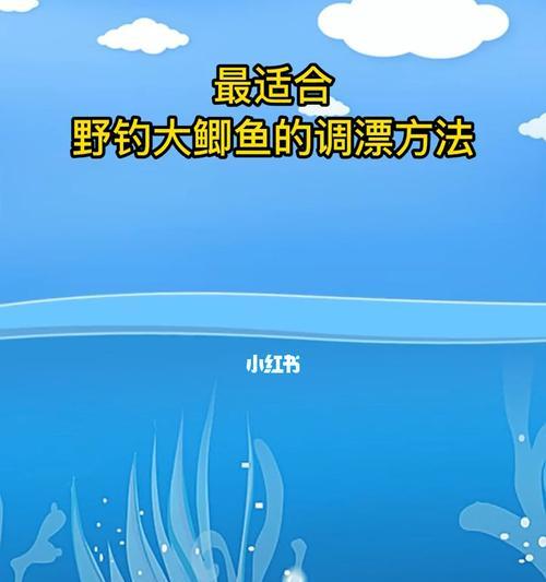 深水调漂技巧与方法分享（以野钓鲫鱼为例）  第1张