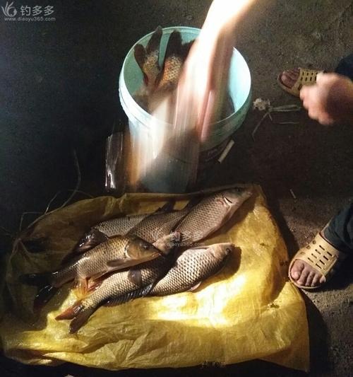 夜钓大运河的技巧与经验（探秘夜钓大运河的窍门与技巧）  第1张