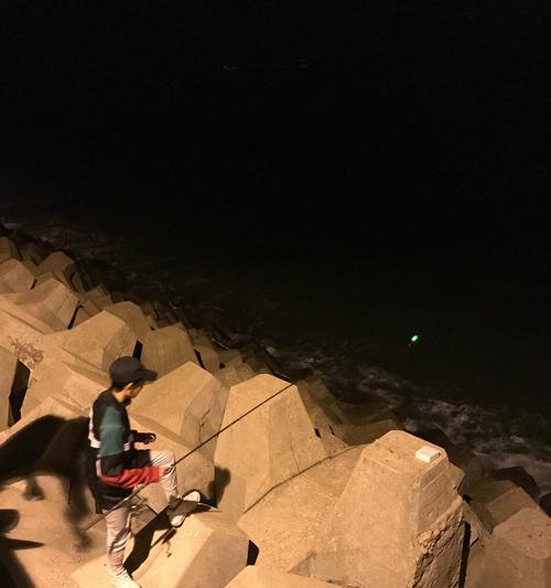 夜钓钓鱼，技巧与玩法（探索夜间渔获的秘密）  第1张