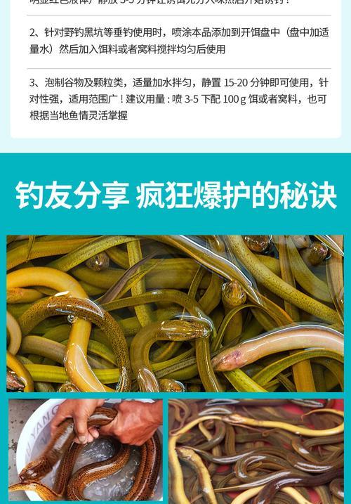 夜钓黄鳝的秘诀与技巧（夜钓黄鳝）  第1张