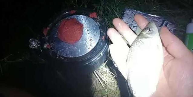 夜钓技巧，轻松钓到鲫鱼（掌握关键钓点）  第1张