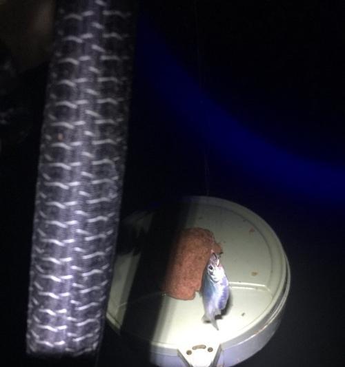 夜钓鲫鱼的技巧与经验（掌握4个关键技巧）  第1张