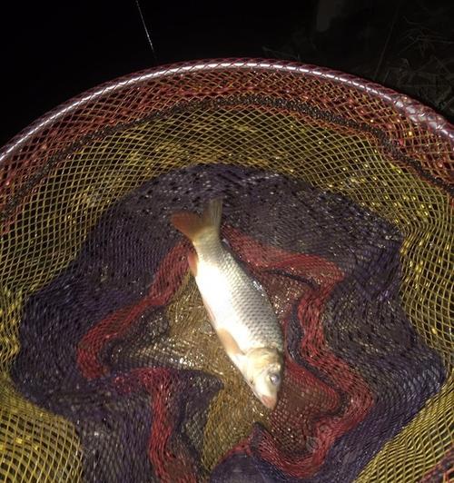 七星漂夜钓鲫鱼，技巧大揭秘（夜晚钓鲫鱼的七星漂技巧）  第1张