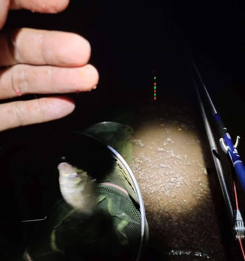 夜钓鲫鱼技巧与时间教程（钓鲫鱼的最佳时间与技巧）  第1张