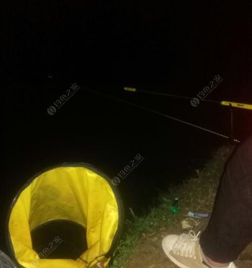 夜钓鲫鱼的最佳打窝方法与技巧（掌握关键技巧）  第1张