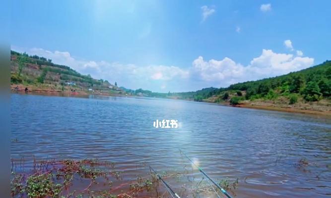 四季钓鱼技巧大揭秘（挑战自然）  第3张