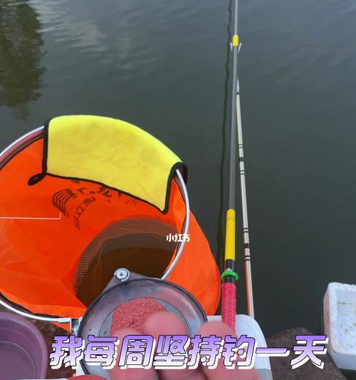 钓鱼技巧大揭秘（一起来飞升钓鱼）  第1张
