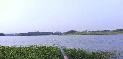 探秘伊犁河钓鱼技巧（享受钓鱼乐趣）  第2张