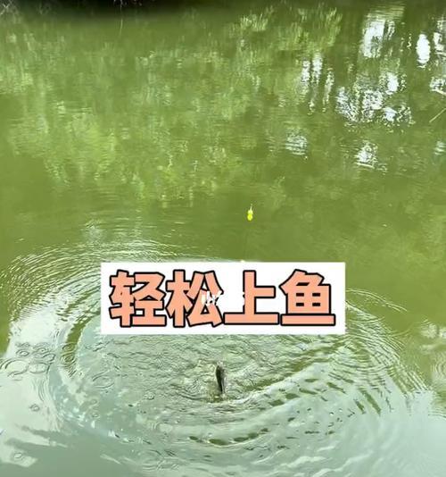 艺术学校钓鱼技巧教学（掌握精湛钓鱼技巧）  第1张