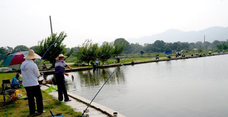 艺术学校钓鱼技巧教学（掌握精湛钓鱼技巧）  第2张