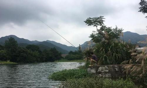 阴天难钓鱼（技巧）  第2张