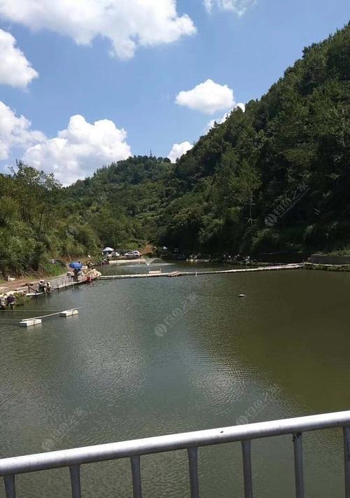 阴天难钓鱼（技巧）  第3张