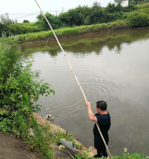 阴天鱼在水面钓鱼技巧（技巧揭秘）  第2张