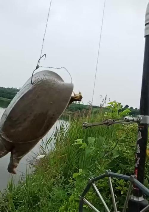 阴雨天钓鱼技巧（河里钓鱼的秘诀与经验）  第1张
