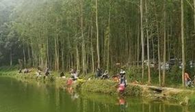 钓鱼技巧和方法（打造钓鱼达人）  第1张