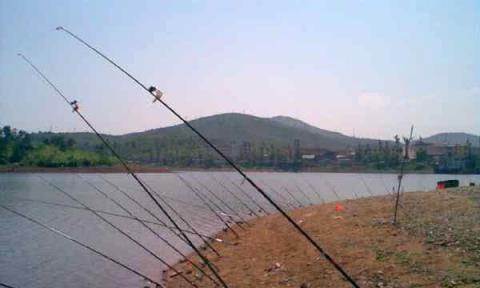 盈江凯邦亚湖钓鱼技巧（掌握这些技巧）  第3张